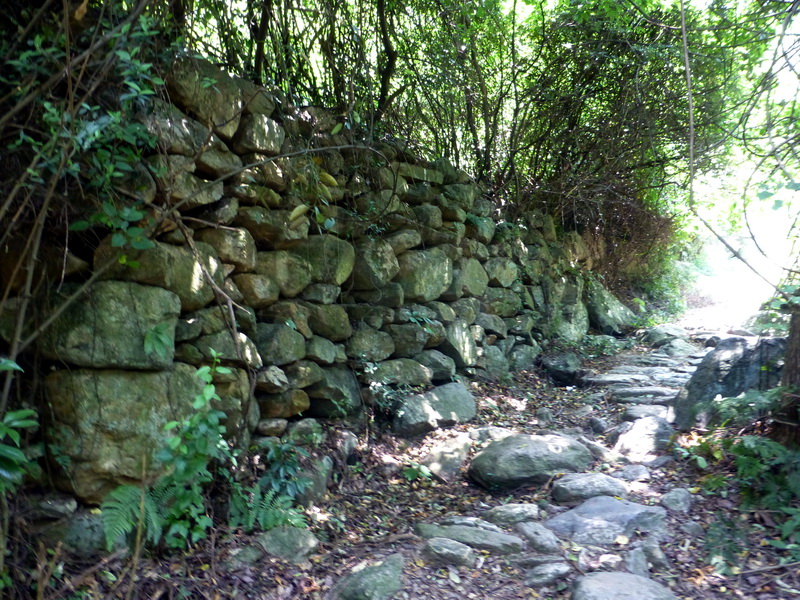 p1090021.jpg