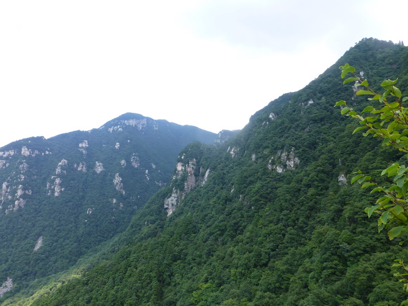 p1090041.jpg