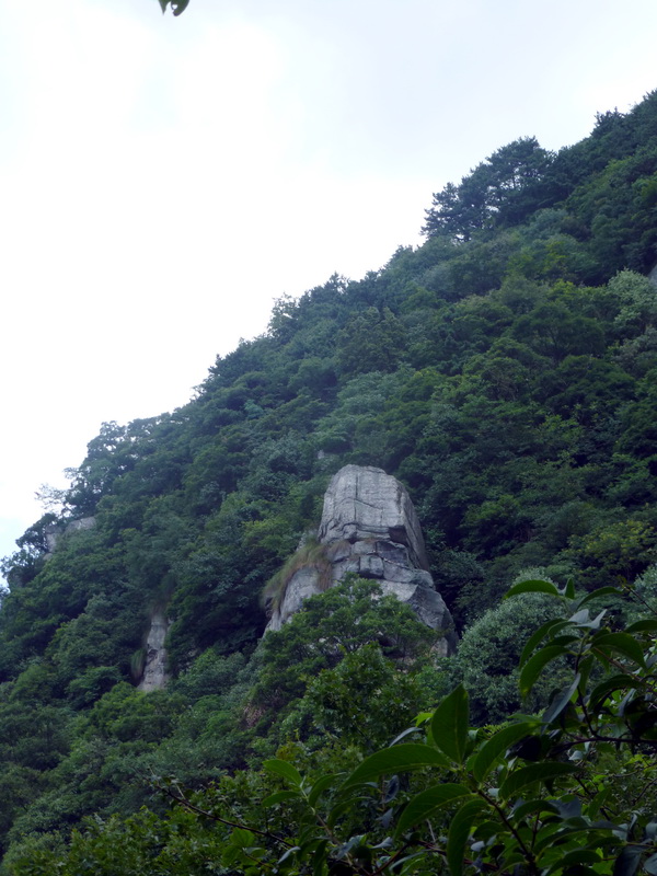 p1090055.jpg
