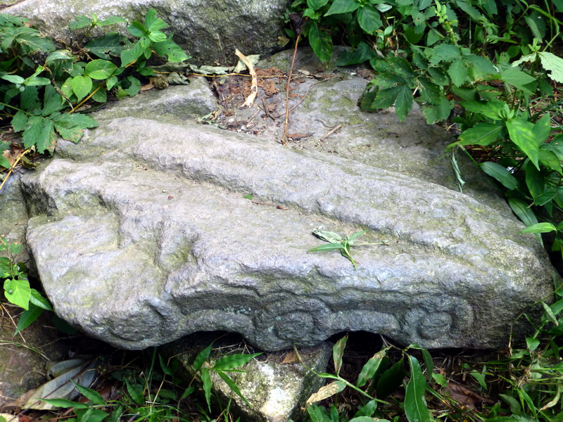 p1090053.jpg