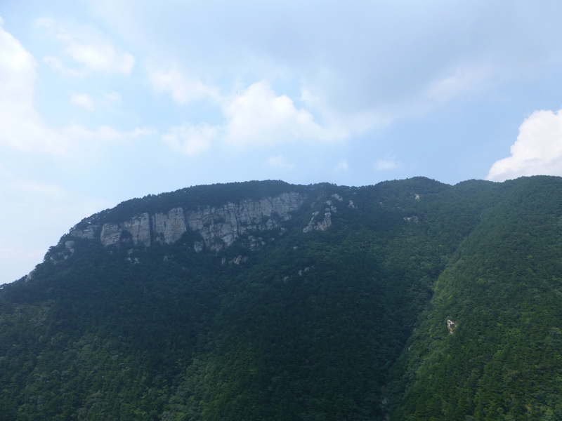 p1090101.jpg