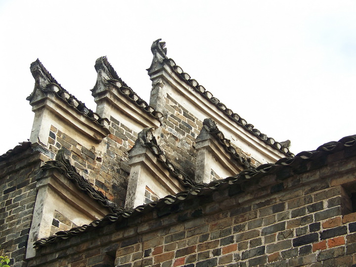 100_9736.jpg