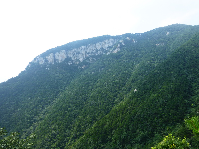 p1090112.jpg