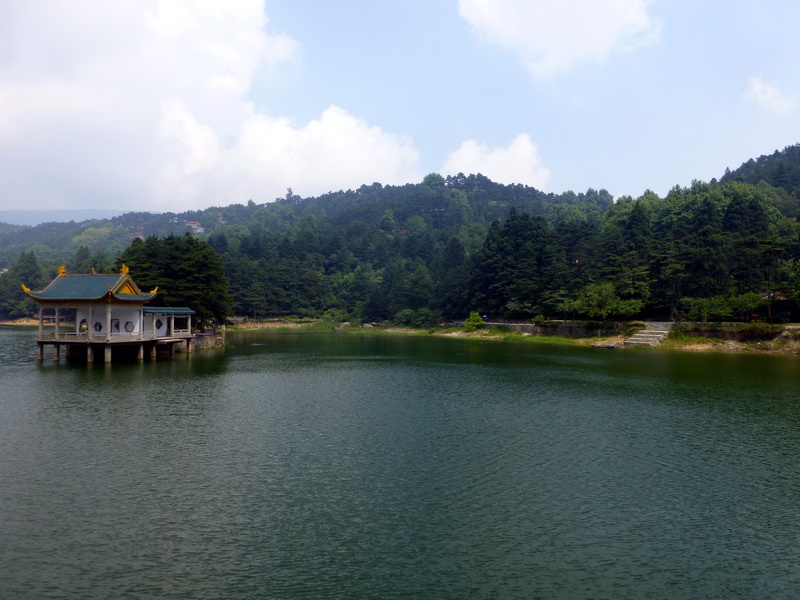 p1090118.jpg