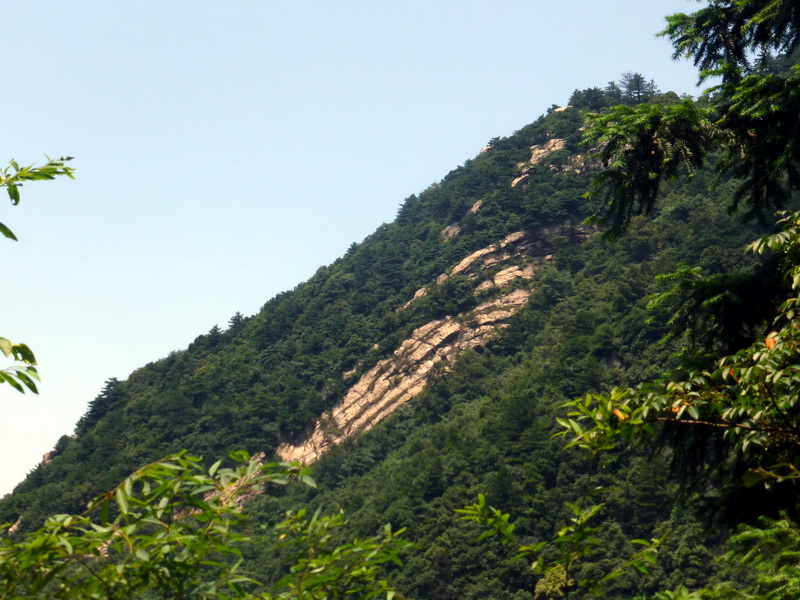 p1090031.jpg