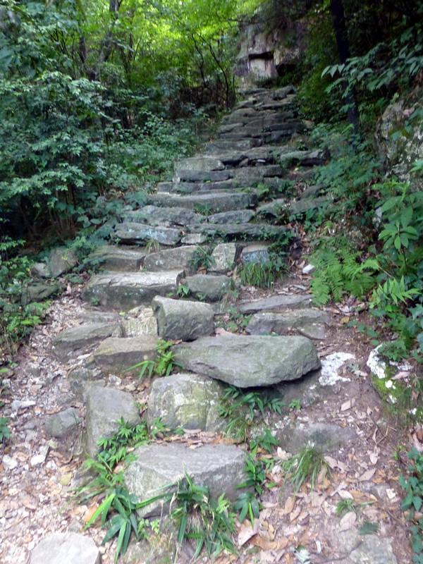 p1090035.jpg