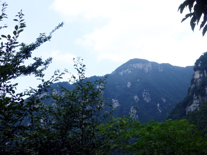 p1090036.jpg