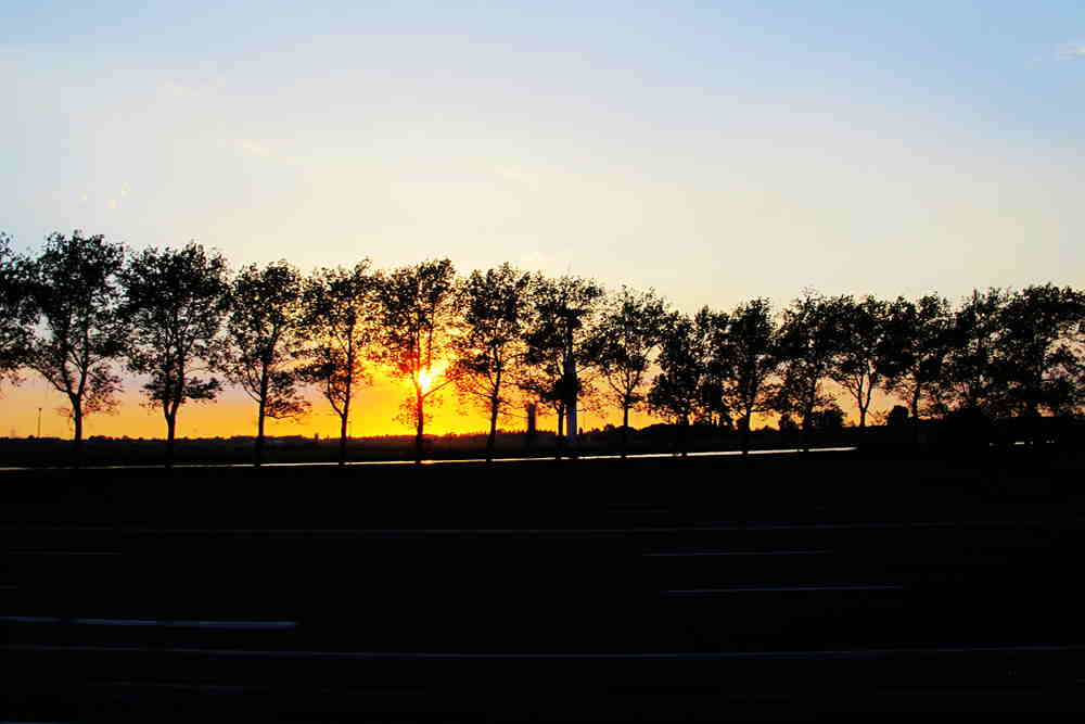 img_5804_.jpg