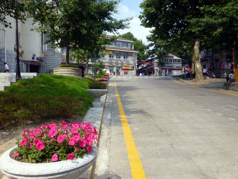 p1090137.jpg