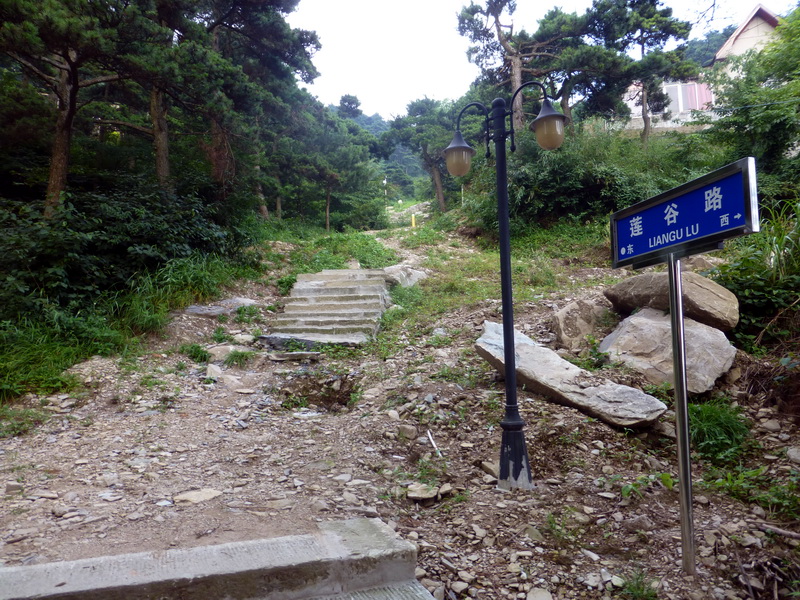 p1090155.jpg