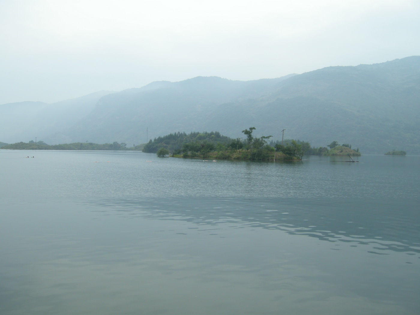 dscn9011.jpg