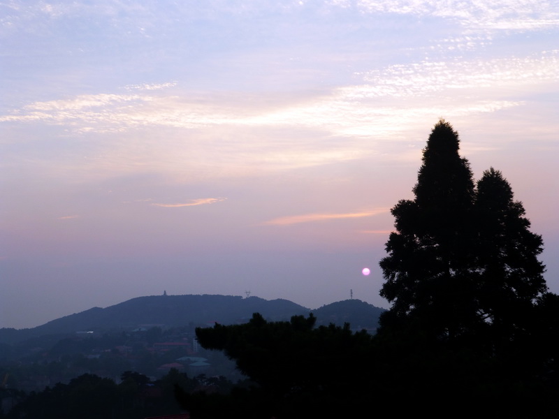p1090175.jpg