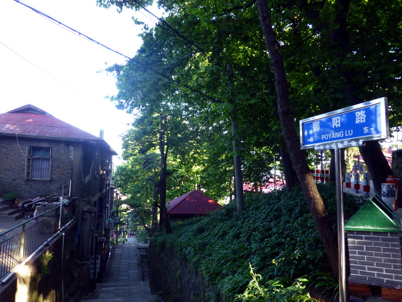 p1090195.jpg