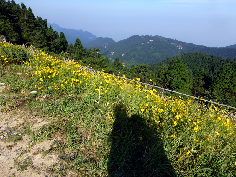 p1090205.jpg