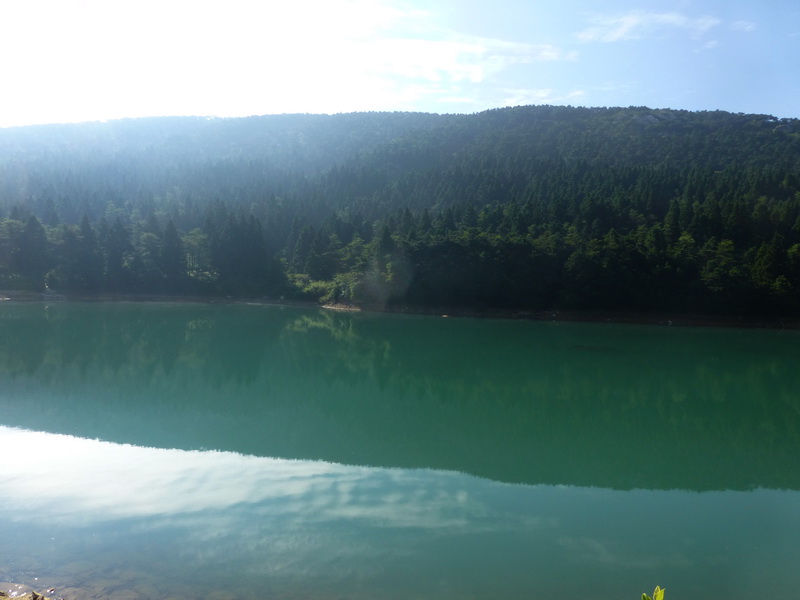 p1090206.jpg
