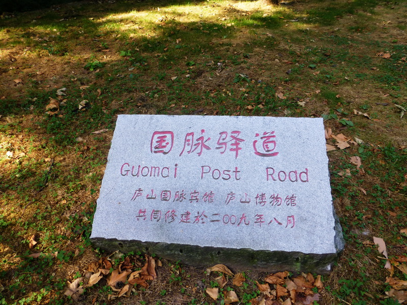 p1090217.jpg