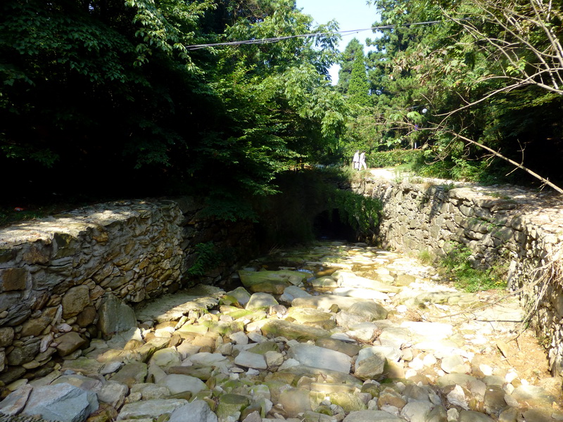 p1090223.jpg
