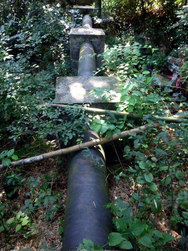 p1090242.jpg