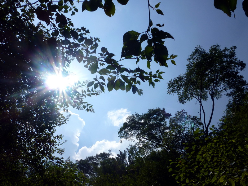 p1090256.jpg