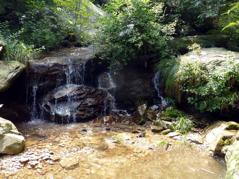 p1090258.jpg