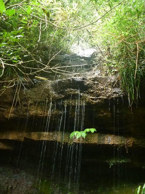 p1150586_.jpg