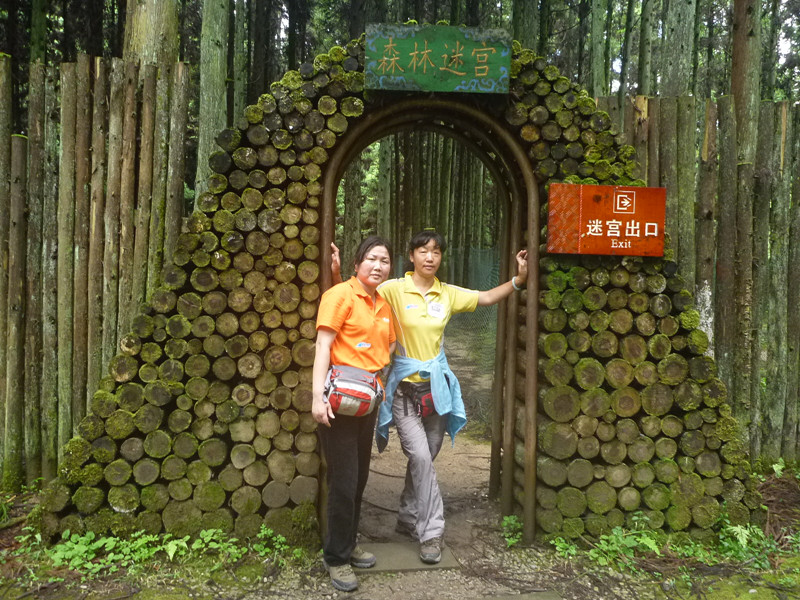 p1150589_.jpg