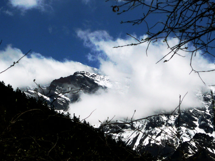 p1030164.jpg