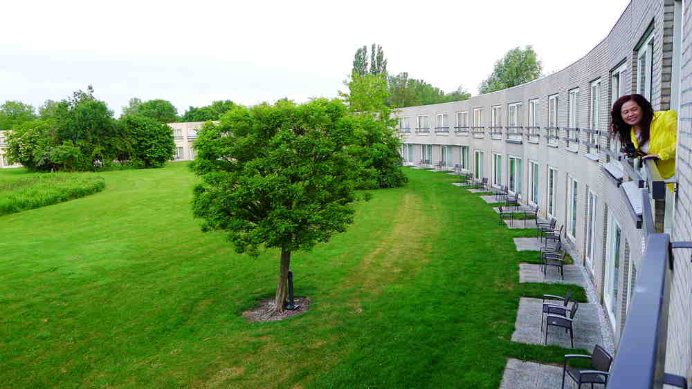p1010876_.jpg