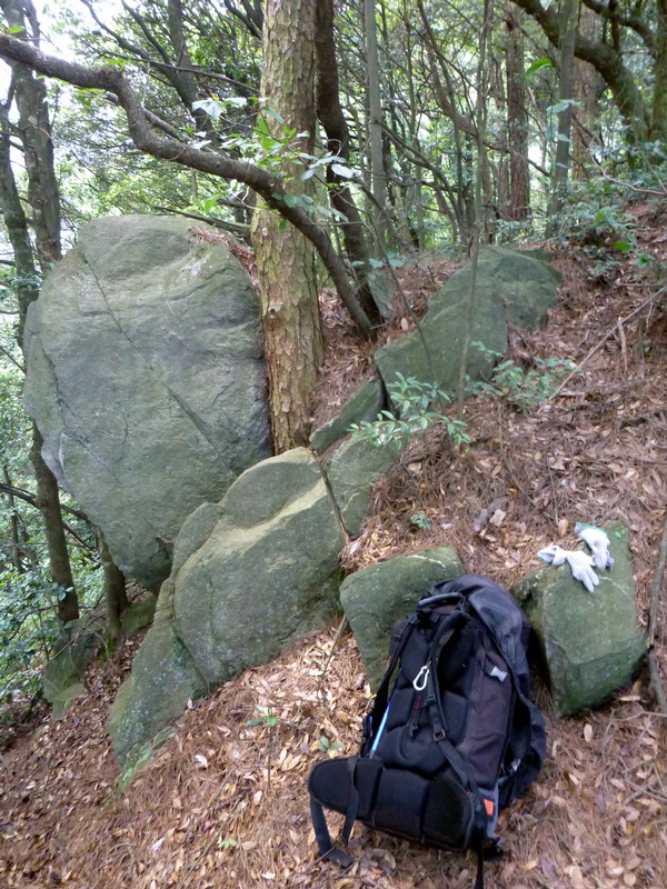 p1090273.jpg