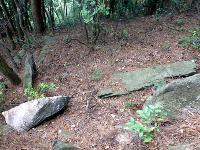 p1090275.jpg