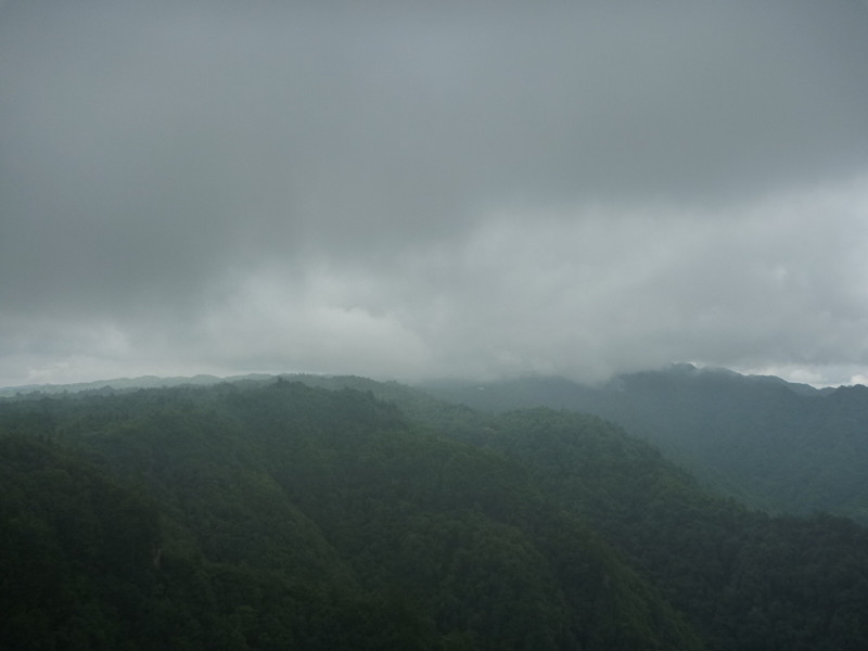 p1150593_.jpg