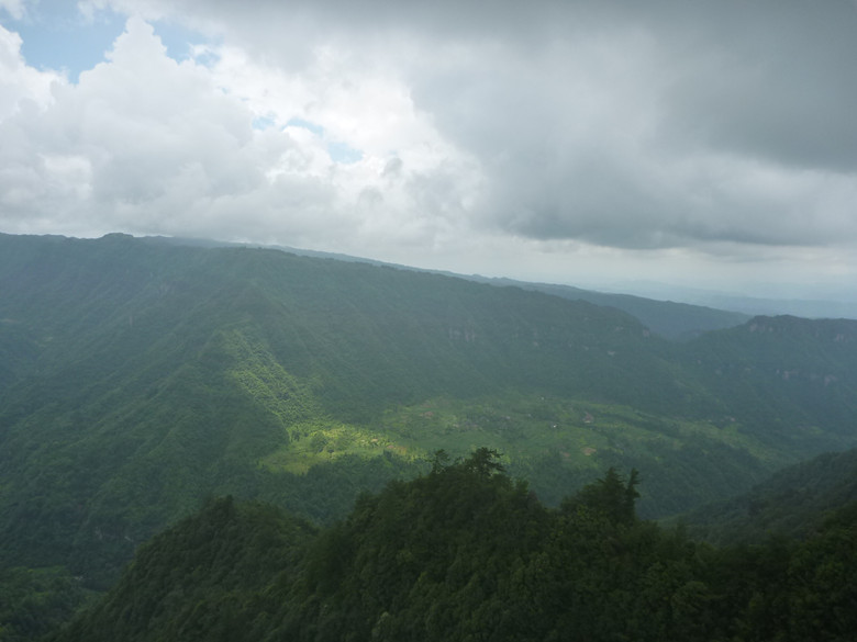 p1150601_.jpg