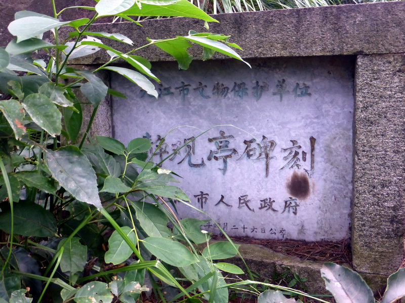 p1090288.jpg