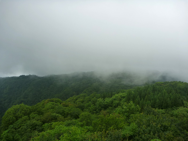 p1150624_副本.jpg