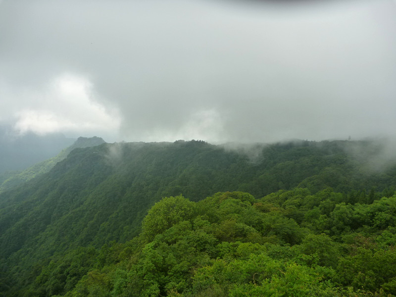 p1150628_副本.jpg