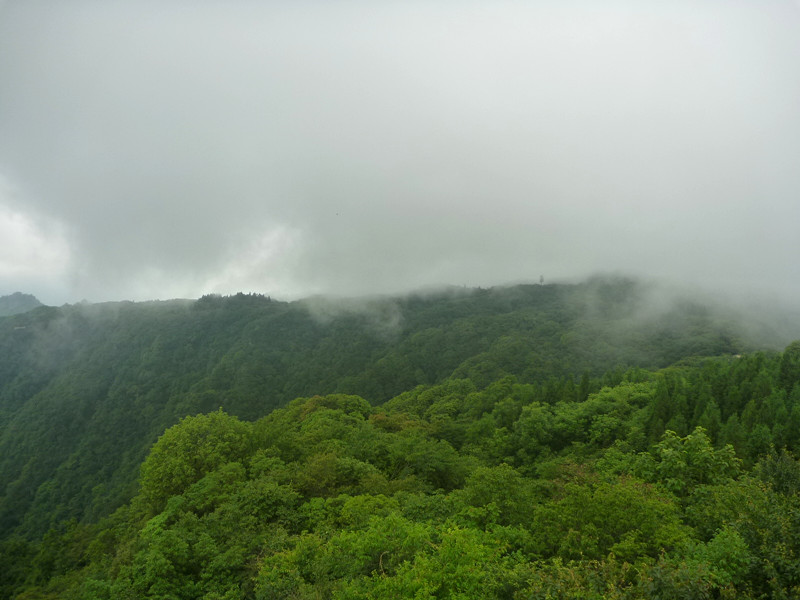 p1150629_副本.jpg