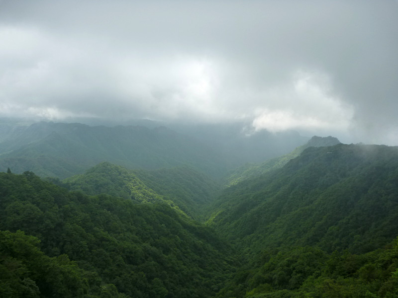 p1150630_副本.jpg