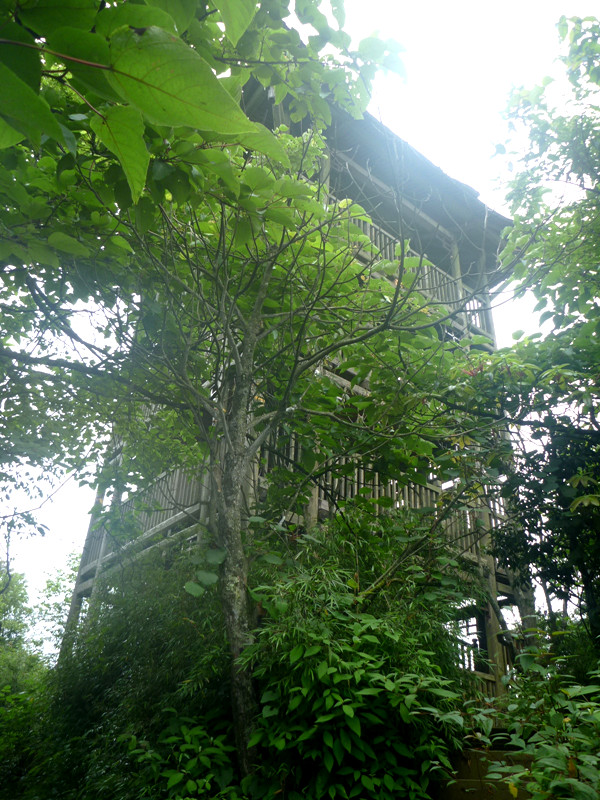 p1150634_副本.jpg