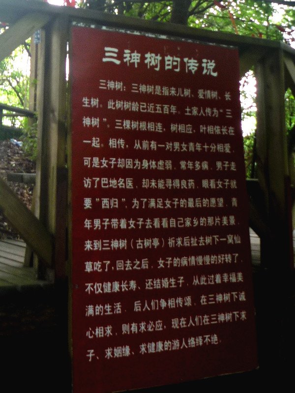 p1150620_副本.jpg
