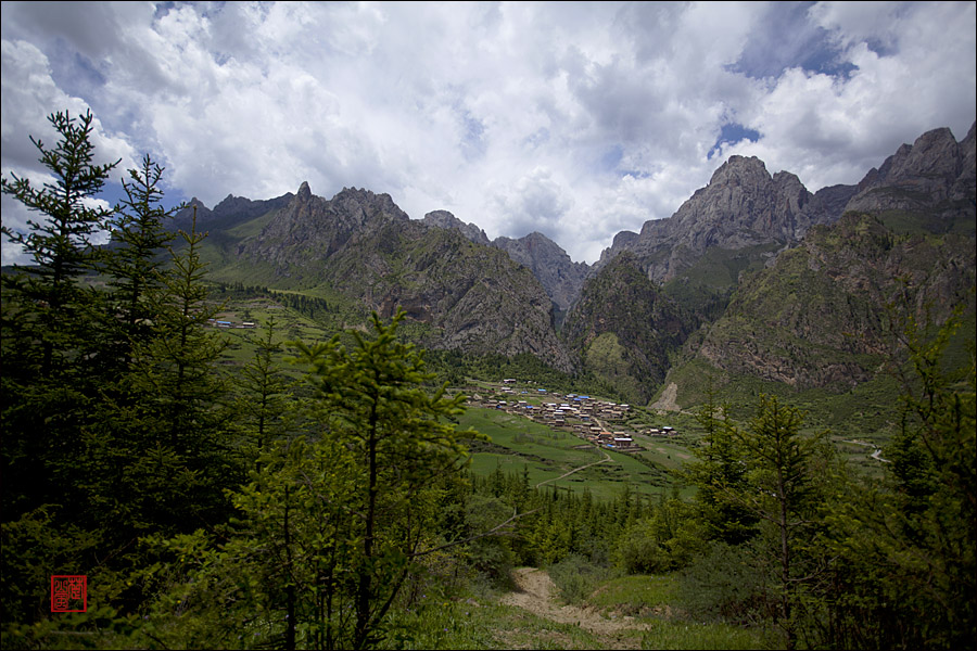 img_9785.jpg
