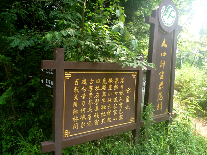 p1150662_.jpg
