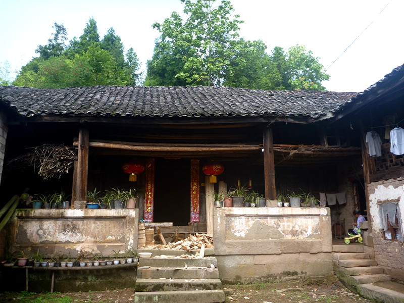 p1150667_.jpg