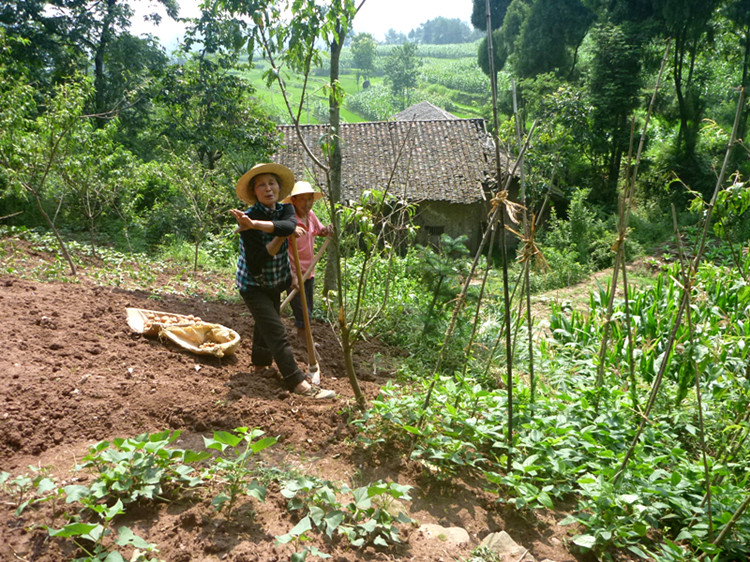 p1150671_.jpg