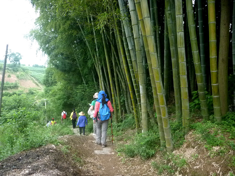 p1150699_副本.jpg