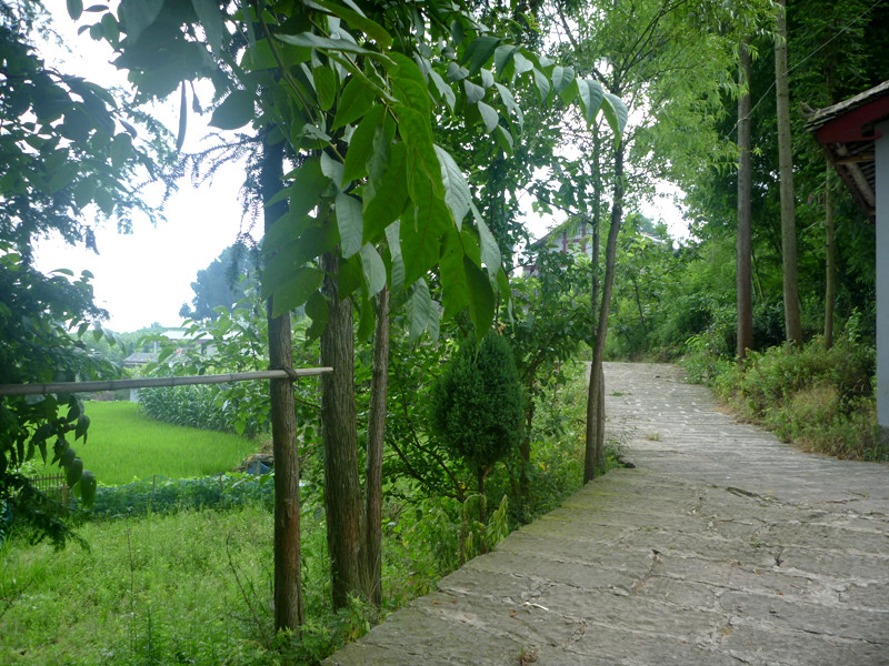 p1150707_副本.jpg