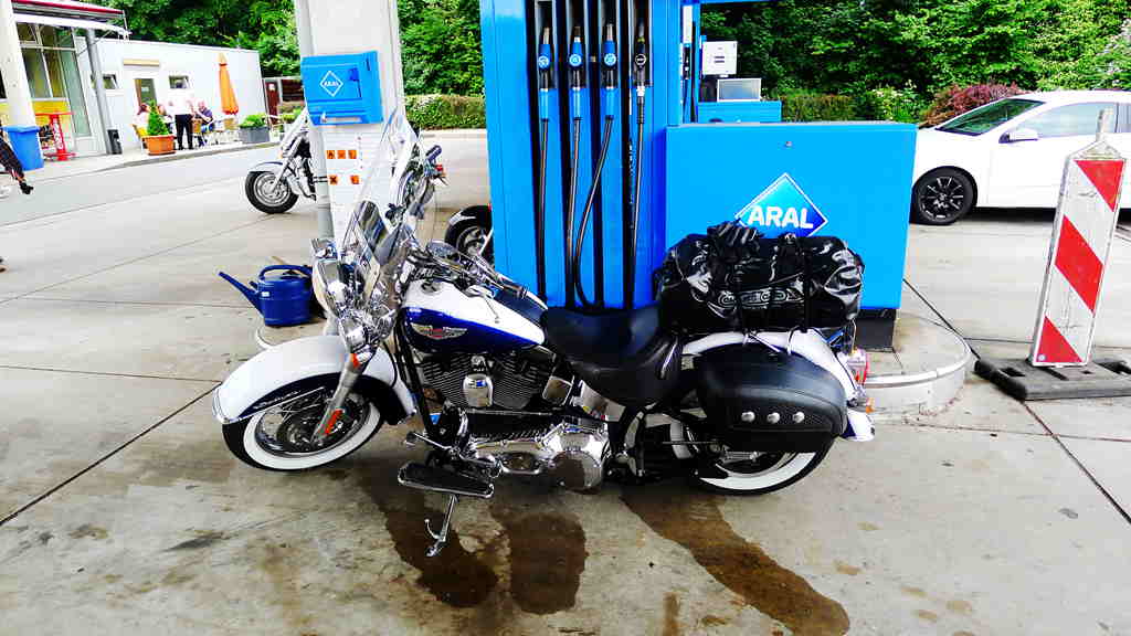 p1010879_.jpg