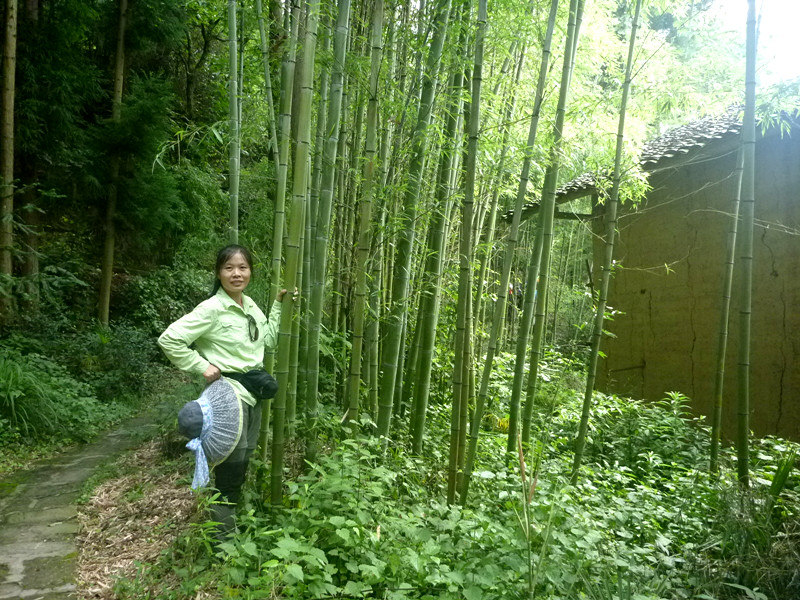 p1150684_副本.jpg