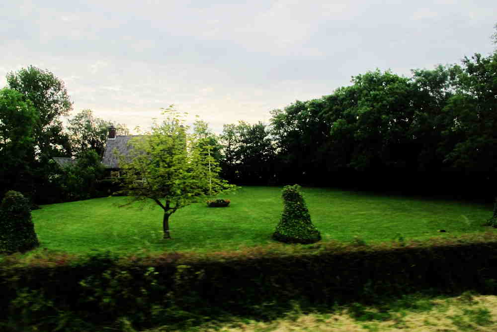 img_6052_.jpg
