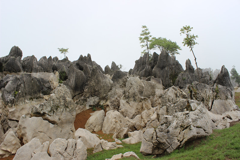 ǧҰݳ 027_.jpg