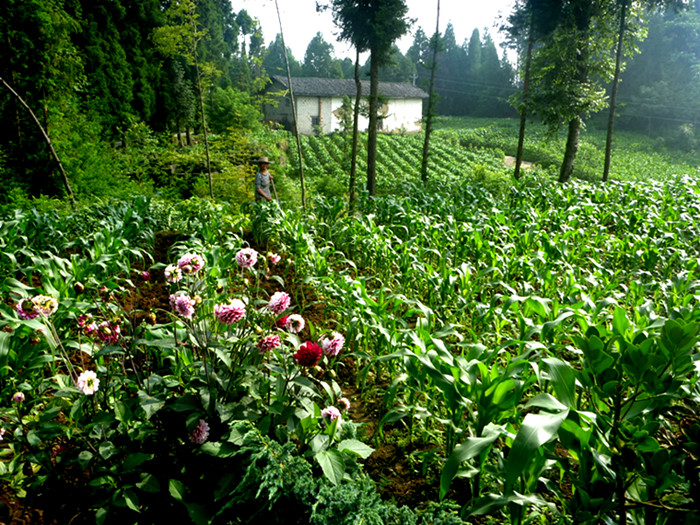 p1150647_.jpg